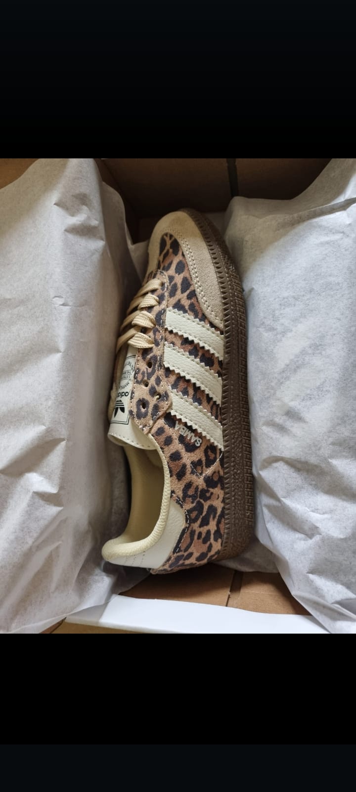 San leopardo